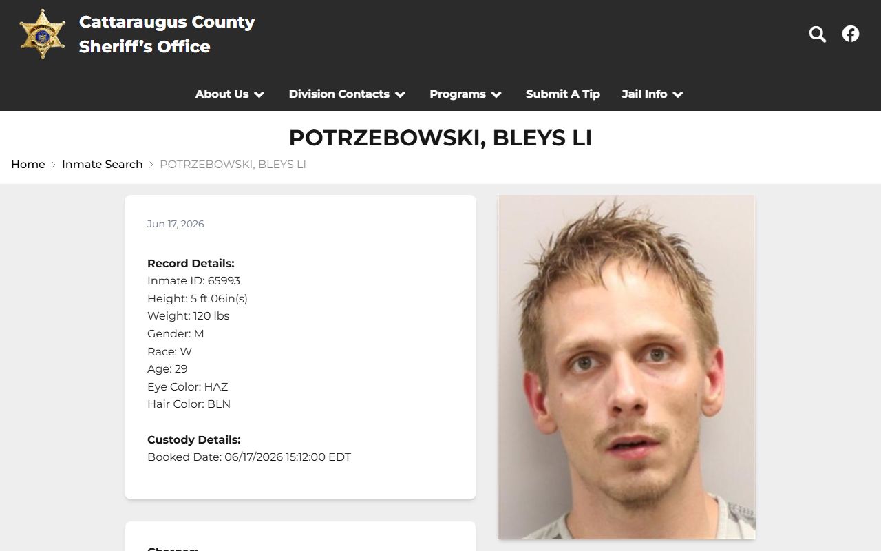 Cattaraugus County inmate profile record sample